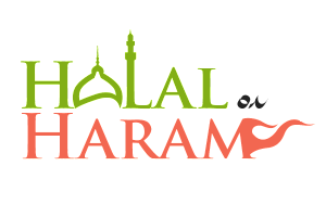 ELEGANCE BEARD KIT REVIEW BY HALAL OR HARAM? - (BEARD OIL, VEGAN BEARD BRUSH & BEARD COMB)